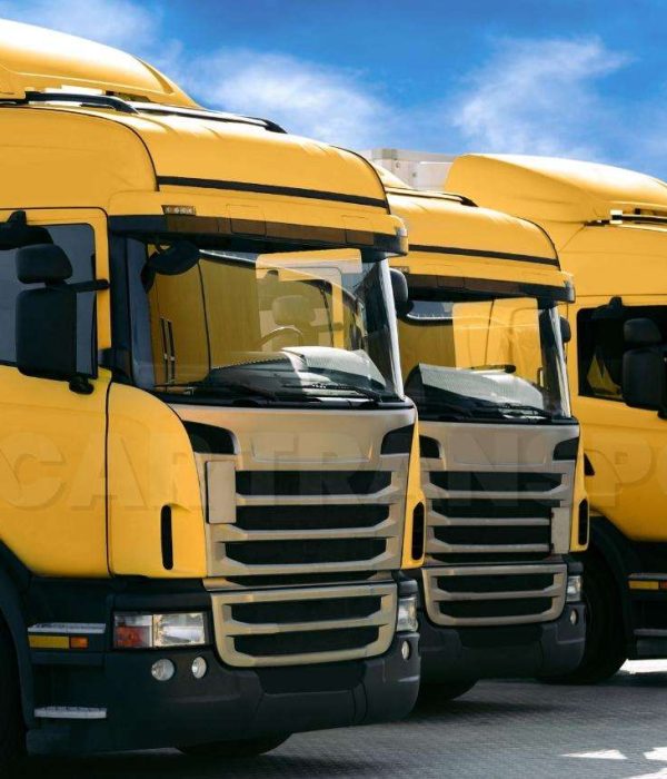 Fly Car Transport (flycartransport.in) Our Skills img